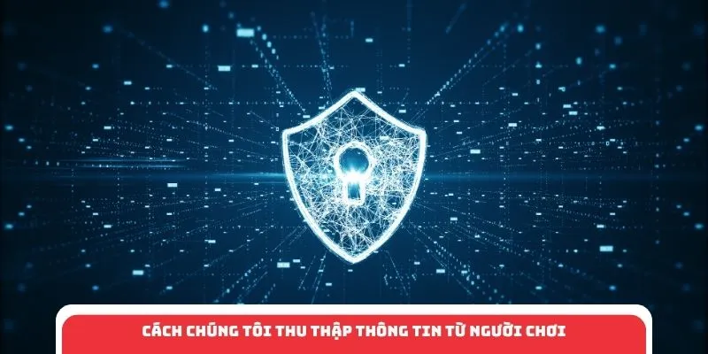 Cách chúng tôi thu thập thông tin từ người chơi