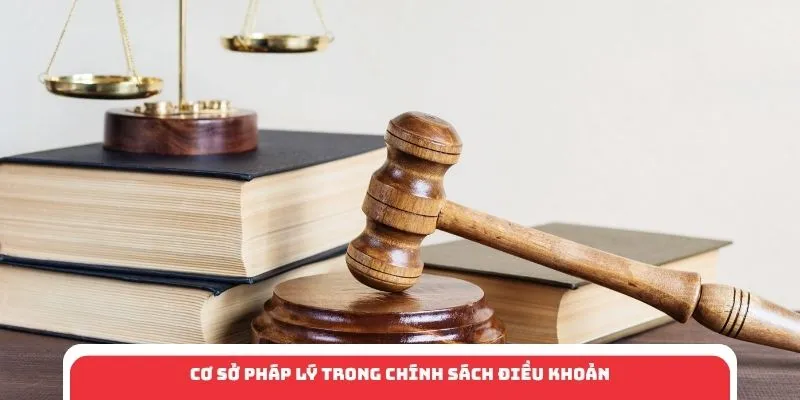 Cơ sở pháp lý trong chính sách điều khoản